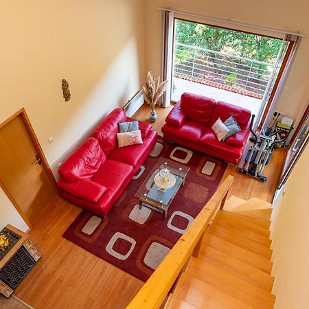 Apartments Maris Novigrad  Esterno foto
