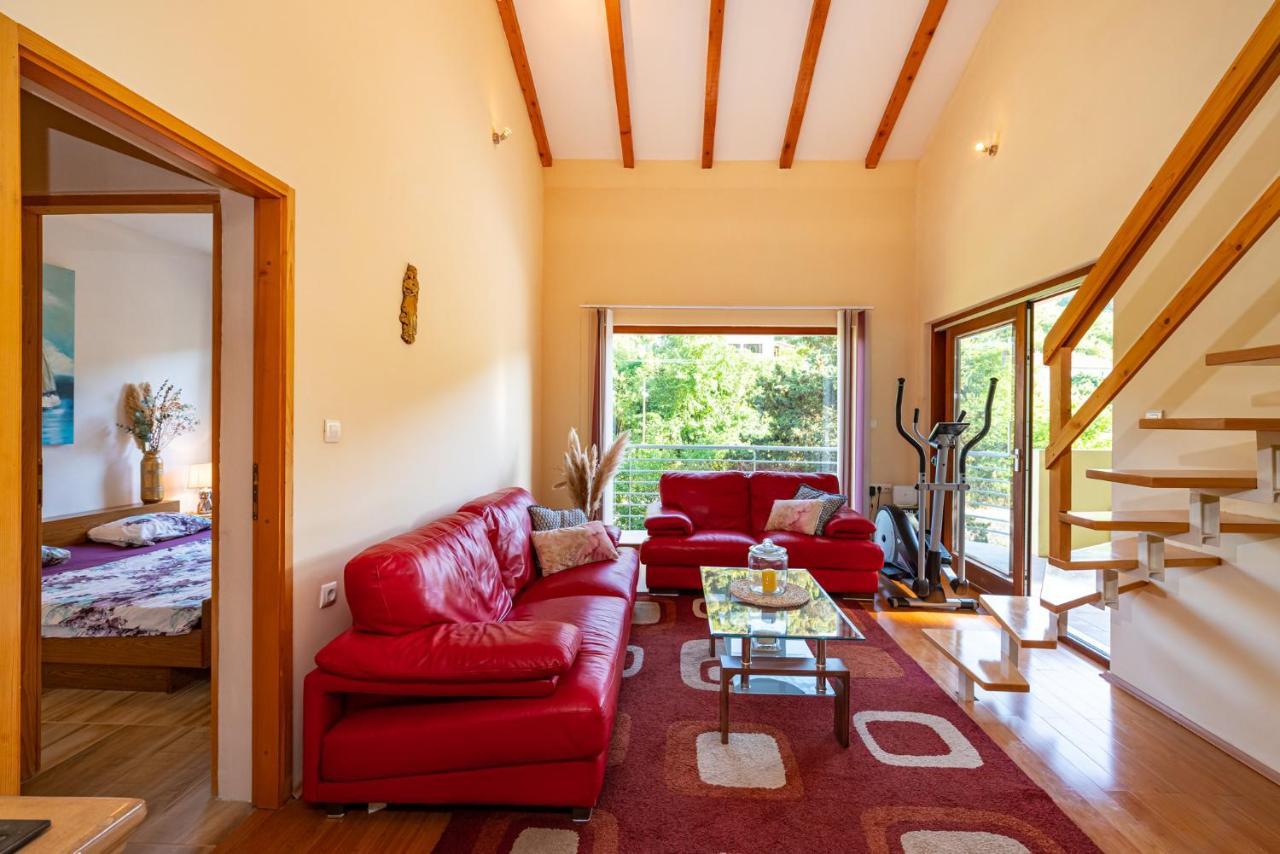 Apartments Maris Novigrad  Esterno foto
