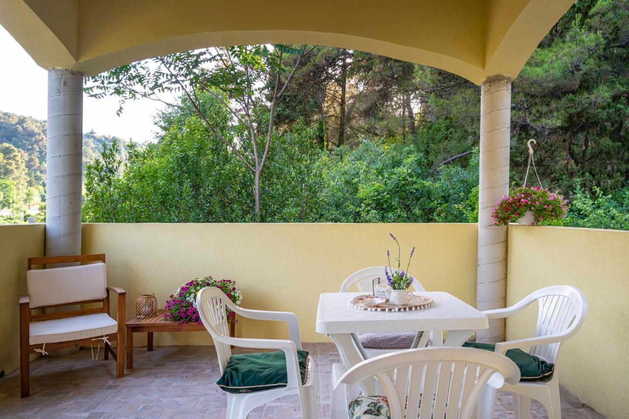 Apartments Maris Novigrad  Esterno foto