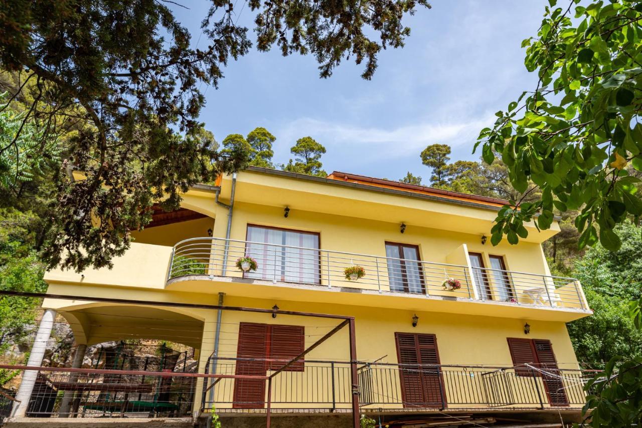 Apartments Maris Novigrad  Esterno foto