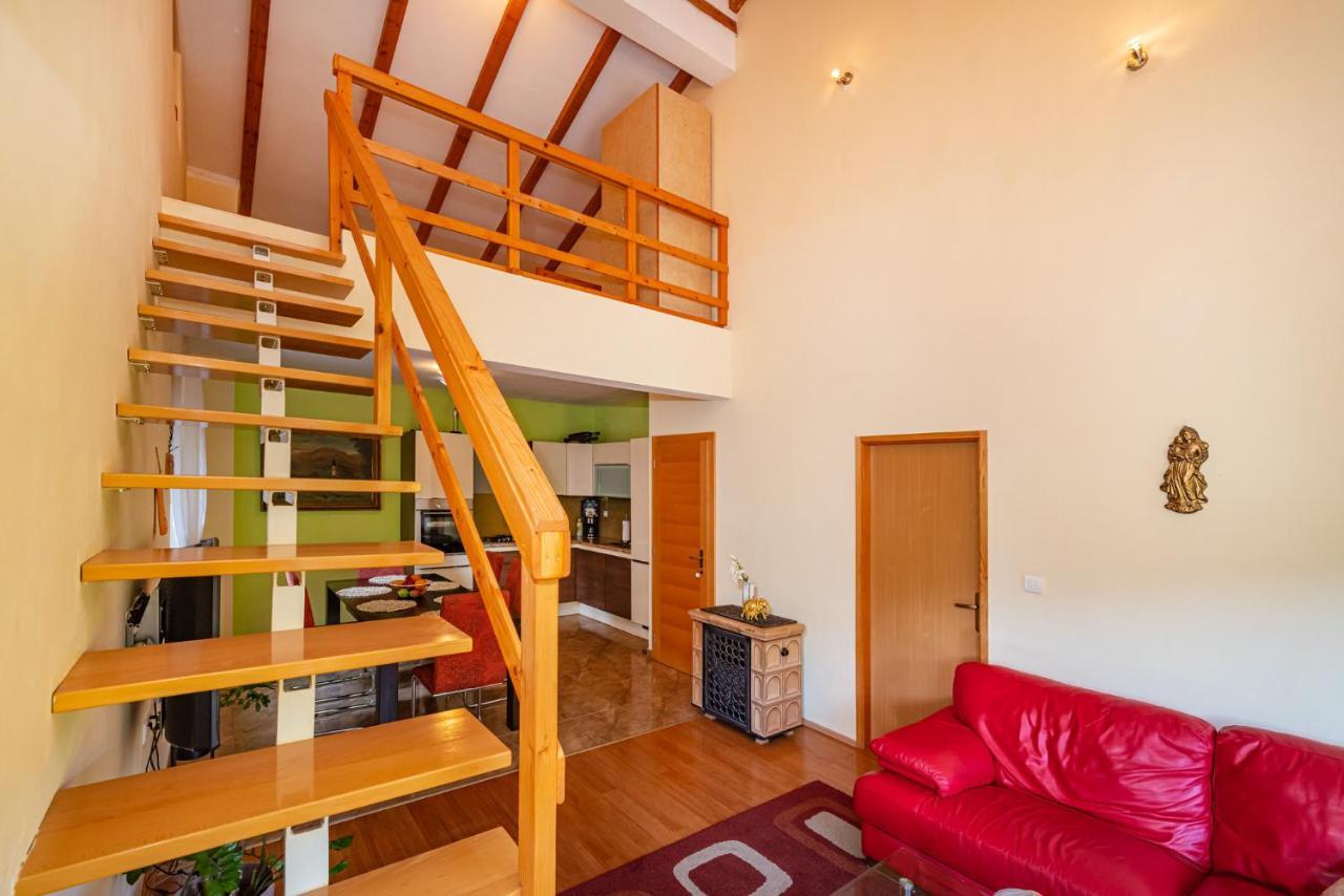 Apartments Maris Novigrad  Esterno foto